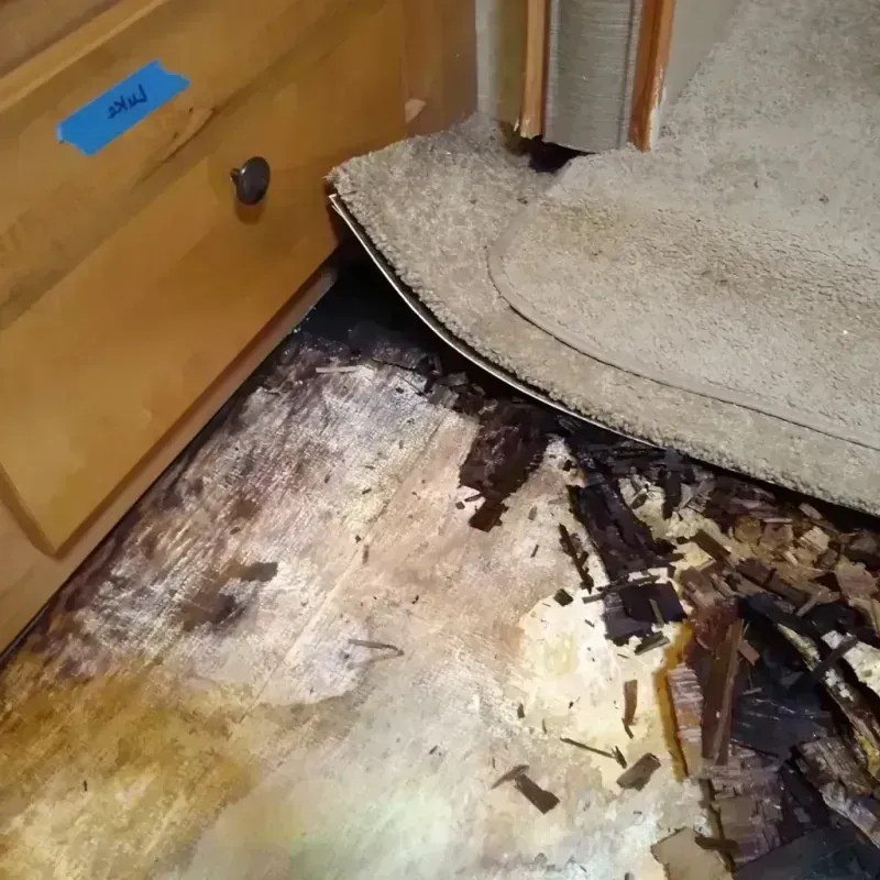 Wood Floor Water Damage in Sullivan City, TX